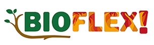 BIOFLEX. Clean and flexible use of new difficult biomass fuels in small to medium-scale combustion